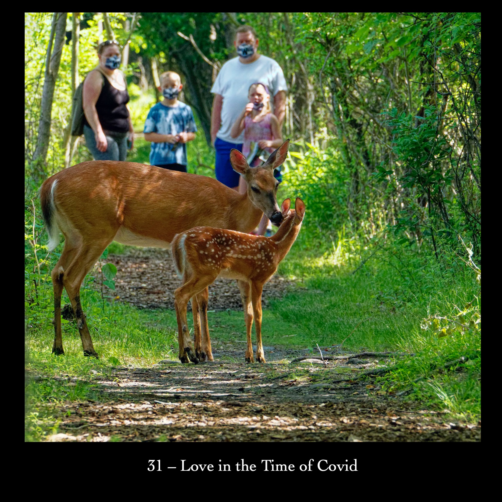 31   Love in the Time of Covid